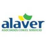 WhatsApp Image 2025-11-02 at 5.33.58 PM