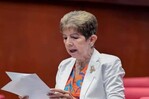 El debate y los argumentos de los senadores antes de aprobar el Código Penal