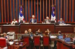 Senado aprueba en primera lectura  y con modificaciones el proyecto de ley de reforma policial