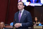 El PLD somete proyectos para interpelar a los gerentes de las EDE por facturación y apagones